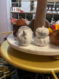 Turkey& pumpkin S&P